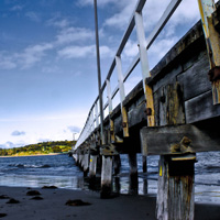 轰炸电话在线使用