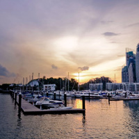 网络手机号在线发送