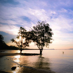 在线短信压力测试